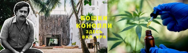 ГАЛЛЮЦИНОГЕННЫЕ ГРИБЫ Вязники