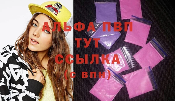 spice Тайга