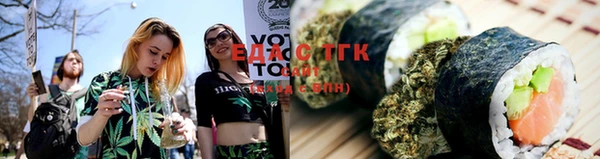ГАЛЛЮЦИНОГЕННЫЕ ГРИБЫ Вязники