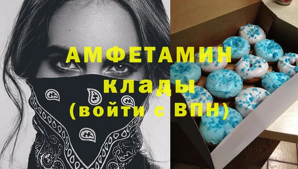 СК Вязьма