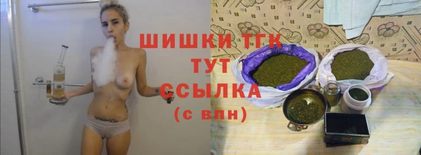 СК Вязьма