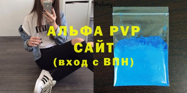 СК Вязьма