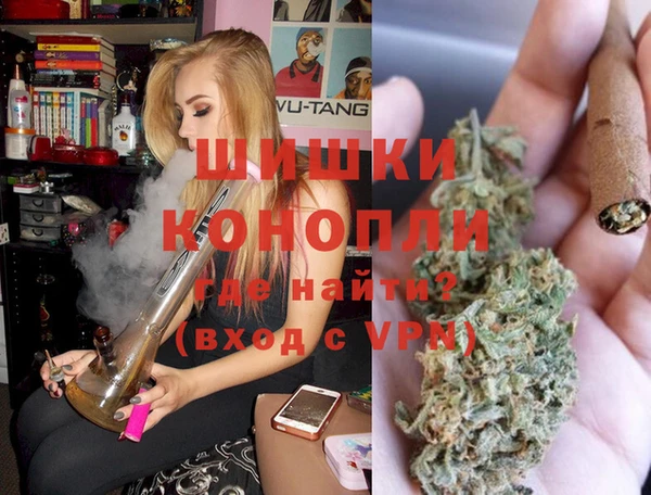 ГАЛЛЮЦИНОГЕННЫЕ ГРИБЫ Вязники